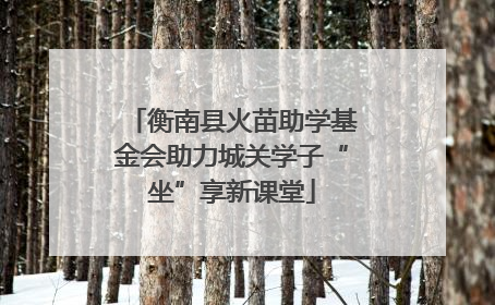 衡南县火苗助学基金会助力城关学子“坐”享新课堂