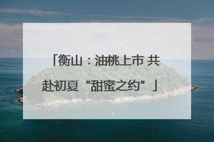 衡山：油桃上市 共赴初夏“甜蜜之约”