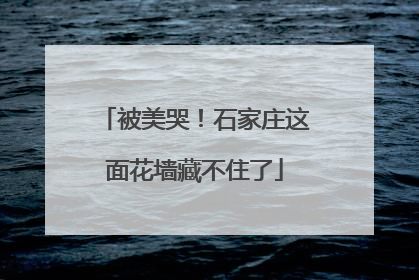 被美哭！石家庄这面花墙藏不住了