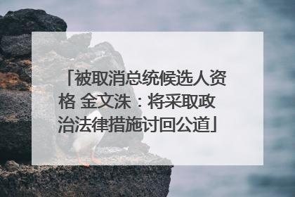 被取消总统候选人资格 金文洙：将采取政治法律措施讨回公道