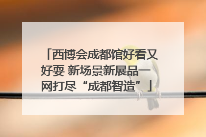 西博会成都馆好看又好耍 新场景新展品一网打尽“成都智造”