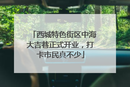 西城特色街区中海大吉巷正式开业，打卡市民真不少