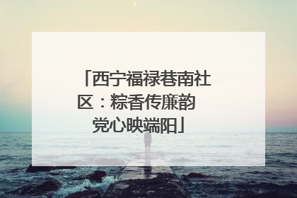 西宁福禄巷南社区：粽香传廉韵 党心映端阳