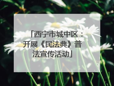 西宁市城中区：开展《民法典》普法宣传活动