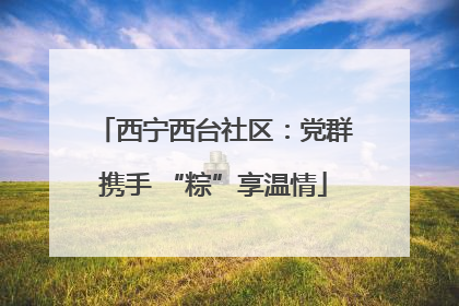 西宁西台社区：党群携手 “粽”享温情