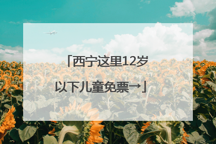 西宁这里12岁以下儿童免票→