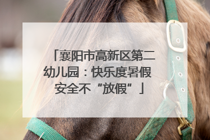 襄阳市高新区第二幼儿园：快乐度暑假 安全不“放假”