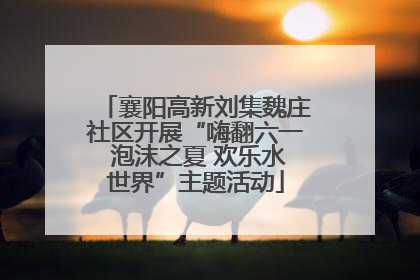 襄阳高新刘集魏庄社区开展“嗨翻六一 泡沫之夏 欢乐水世界”主题活动
