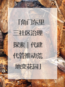 角门东里三社区治理探索｜代建代管推动荒地变花园