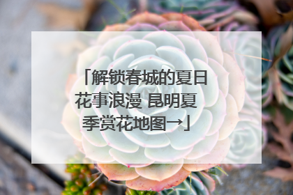 解锁春城的夏日花事浪漫 昆明夏季赏花地图→