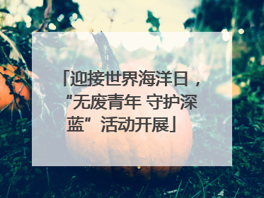 迎接世界海洋日，“无废青年 守护深蓝”活动开展