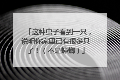 这种虫子看到一只，说明你家里已有很多只了！（不是蟑螂）