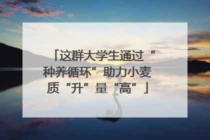 这群大学生通过“种养循环”助力小麦质“升”量“高”
