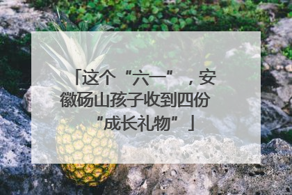 这个“六一”，安徽砀山孩子收到四份“成长礼物”