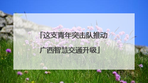 这支青年突击队推动广西智慧交通升级