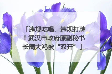 违规吃喝、违规打牌！武汉市政府原副秘书长周大鸿被“双开”