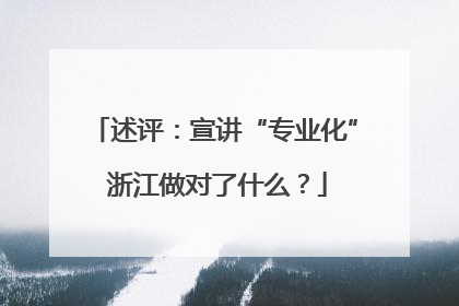 述评：宣讲“专业化” 浙江做对了什么？