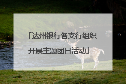 达州银行各支行组织开展主题团日活动