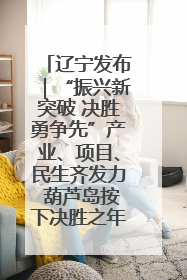 辽宁发布｜“振兴新突破 决胜勇争先”产业、项目、民生齐发力 葫芦岛按下决胜之年“加速键”