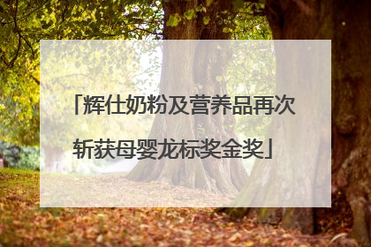 辉仕奶粉及营养品再次斩获母婴龙标奖金奖