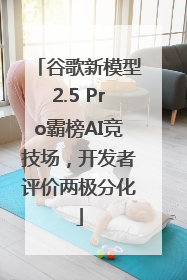 谷歌新模型2.5 Pro霸榜AI竞技场，开发者评价两极分化