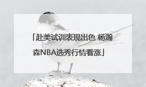 赴美试训表现出色 杨瀚森NBA选秀行情看涨