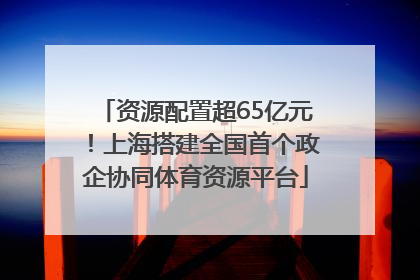 资源配置超65亿元！上海搭建全国首个政企协同体育资源平台