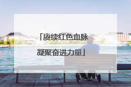 赓续红色血脉 凝聚奋进力量