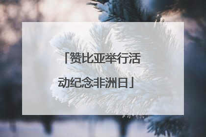 赞比亚举行活动纪念非洲日