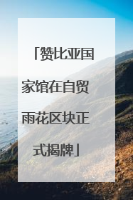 赞比亚国家馆在自贸雨花区块正式揭牌