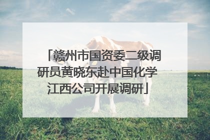 赣州市国资委二级调研员黄晓东赴中国化学江西公司开展调研