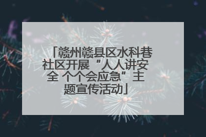 赣州赣县区水科巷社区开展“人人讲安全 个个会应急”主题宣传活动