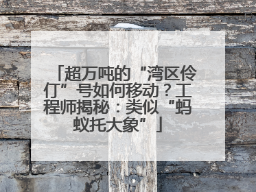 超万吨的“湾区伶仃”号如何移动？工程师揭秘：类似“蚂蚁托大象”