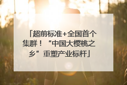 超前标准+全国首个集群！“中国大樱桃之乡”重塑产业标杆