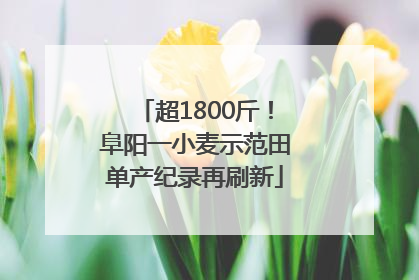 超1800斤！阜阳一小麦示范田单产纪录再刷新