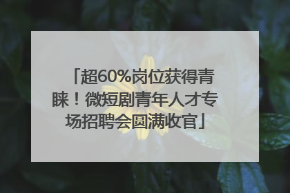 超60%岗位获得青睐！微短剧青年人才专场招聘会圆满收官
