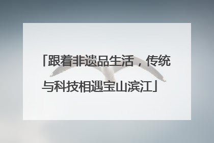 跟着非遗品生活，传统与科技相遇宝山滨江