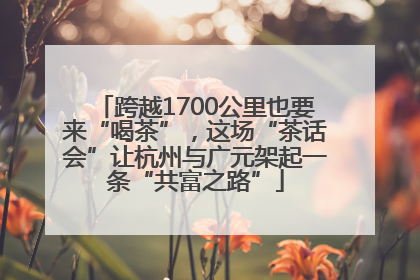 跨越1700公里也要来“喝茶”，这场“茶话会”让杭州与广元架起一条“共富之路”