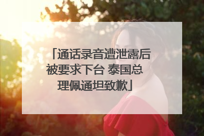 通话录音遭泄露后被要求下台 泰国总理佩通坦致歉