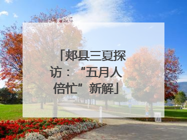 郏县三夏探访：“五月人倍忙”新解