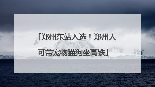 郑州东站入选！郑州人可带宠物猫狗坐高铁