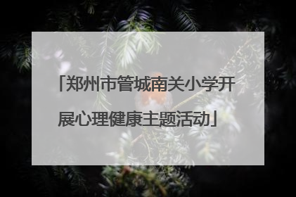 郑州市管城南关小学开展心理健康主题活动