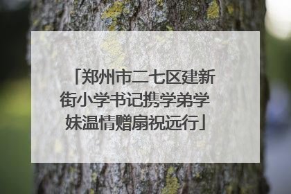 郑州市二七区建新街小学书记携学弟学妹温情赠扇祝远行