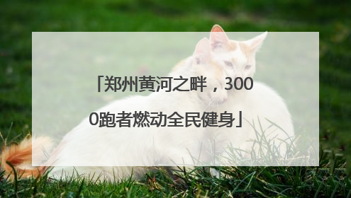 郑州黄河之畔，3000跑者燃动全民健身