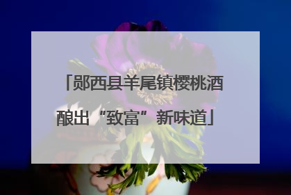 郧西县羊尾镇樱桃酒酿出“致富”新味道