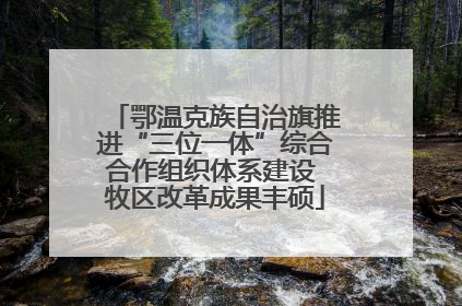 鄂温克族自治旗推进“三位一体”综合合作组织体系建设 牧区改革成果丰硕