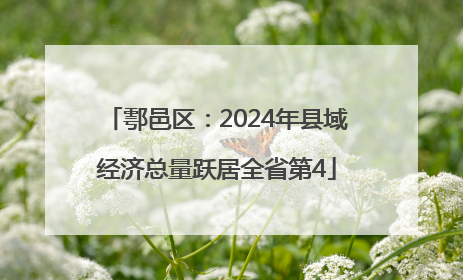 鄠邑区：2024年县域经济总量跃居全省第4