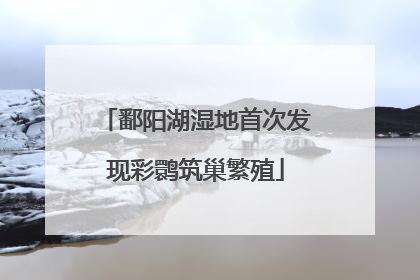 鄱阳湖湿地首次发现彩鹮筑巢繁殖