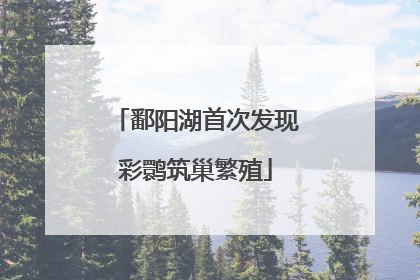 鄱阳湖首次发现彩鹮筑巢繁殖