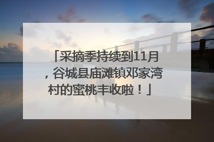 采摘季持续到11月，谷城县庙滩镇邓家湾村的蜜桃丰收啦！
